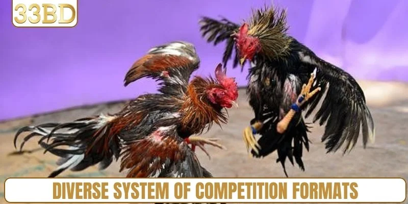 Diverse system of competition formats