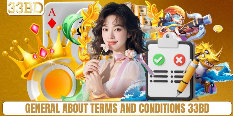 General information about terms and conditions 33BD